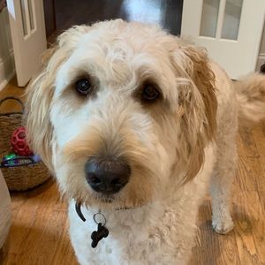 Meet your Posher, Debra